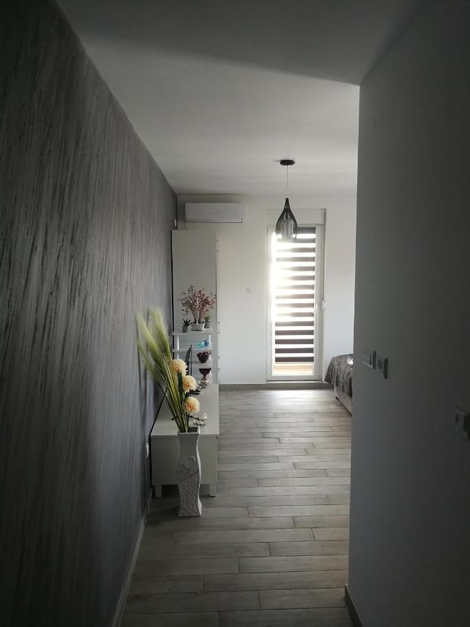 Apartament Danica Sremska Mitrovica Zewnętrze zdjęcie